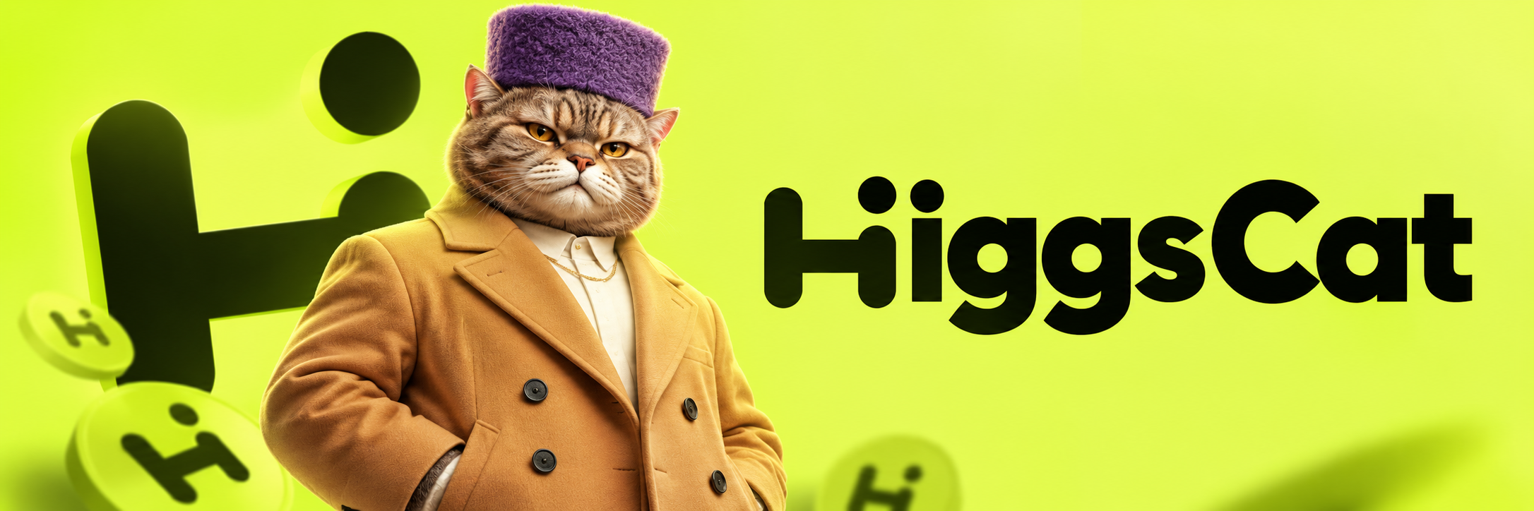 HiggsCat